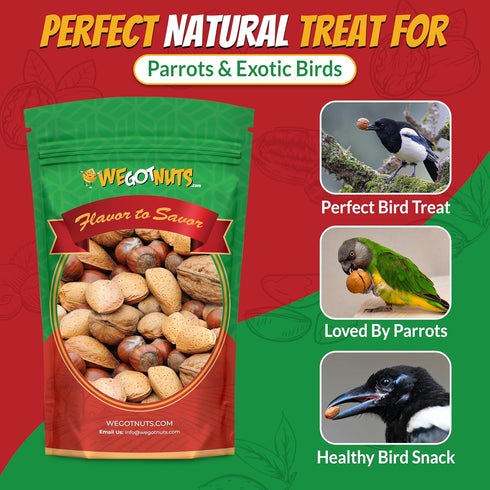 3 Pounds,(48oz) Deluxe Mixed Nuts In-Shell | Raw and Unsalted | Fresh Snack Mix | Healthy and Delicious Nuts Mix |