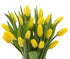 Blooms2Door 20 PRIME NEXT DAY DELIVERY - Yellow Tulips .Gift for Birthday, Sympathy, Anniversary, Get Well, Thank You