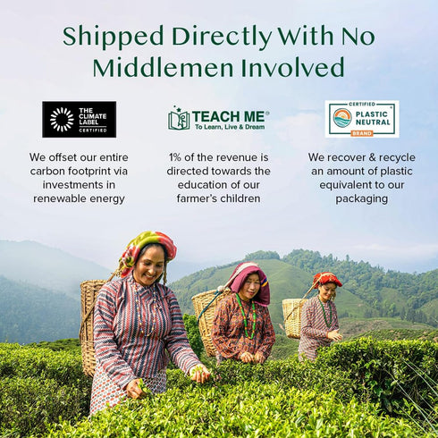 (100 100% VAHDAM Organic Turmeric Ginger Herbal Tea Bags Pyramid Tea Bags) Caffeine Free, Non GMO | Pure Herbal Blend