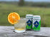 24 7.5oz Royal Oak Ginger Ale by Regatta, Case of Sleek Mini Cans, Each, Premium Soda and Cocktail Mixer