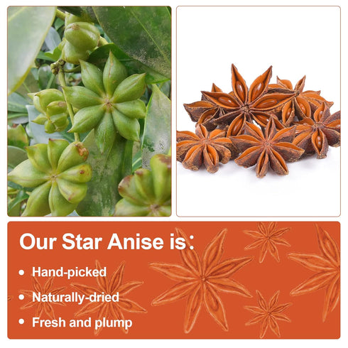 7 oz, (200g) Besway Chinese Star Anise Whole Star Anise, Fresh, Pure and Dried Anise Pods, Great for Cooking, Baking