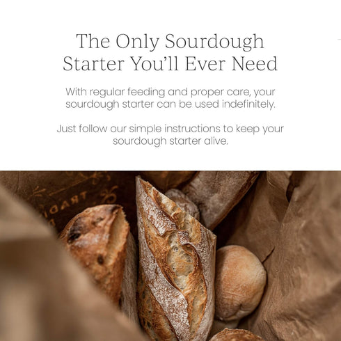 Breadtopia Sourdough Starter | Made from Organic & Non-GMO Ingredients | Easy to Follow Instructions | Make Homemade