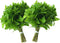 Rani Fresh Mint (Pudina) Leaves 2oz - 4oz,Pack of 2 ~ All