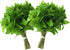 Rani Fresh Mint (Pudina) Leaves 2oz - 4oz,Pack of 2 ~ All