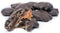 Gourmet Dark Chocolate Rice Crispy Caramel Clusters by It's Delish, 2 lbs