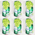 Generic Green Grape Flavor Sparkling Water, 11.1 fl oz, Pack of 6