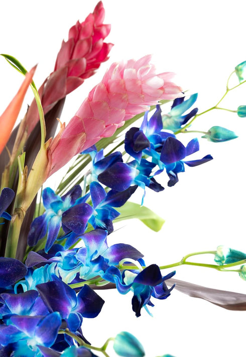 Generic Fresh Orchids and Tropical Flower Bouquet, Perfect for Birthdays, Easter, Mother's Day, Anniversaries, Gifts