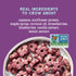 8 Oz 5g 0g Seven Sundays Sunflower Cereal, Real Berry, Bag, Grain & Gluten Free, Upcycled Protein, Refined Sugar