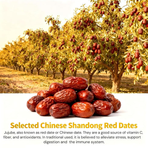 Gerduck Dates,6g 30 Dandelion Root & Goji Berry Tea with Jujube x Teabags-Organic Dandelion Detox Tea, Premium Natural