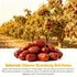Gerduck Dates,6g 30 Dandelion Root & Goji Berry Tea with Jujube x Teabags-Organic Dandelion Detox Tea, Premium Natural