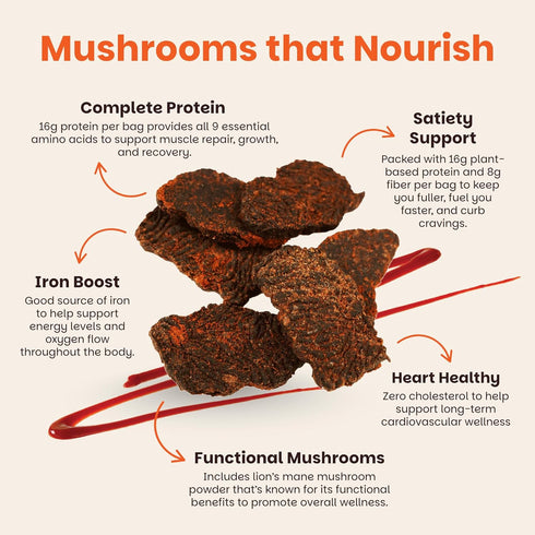 4 Pack (2 oz), Mourish Vegan Mushroom Jerky, Teriyaki & Sichuan Peppercorn, Good Source of Protein and Fiber, Plant