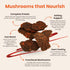 4 Pack (2 oz), Mourish Vegan Mushroom Jerky, Teriyaki & Sichuan Peppercorn, Good Source of Protein and Fiber, Plant