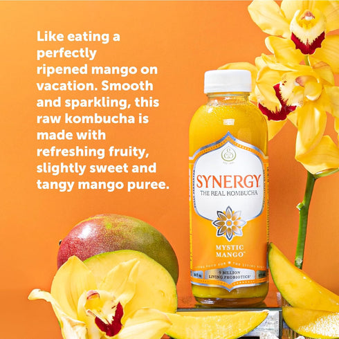 16 oz Immune SYNERGY The Real Kombucha - Mystic Mango - fl Bottle - Raw Probiotic Drink for Gut Health and Support