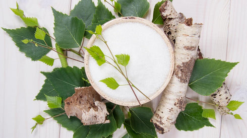 Espure 12 Oz Organic Xylitol - Derived from USDA Certified Organic Birch, Low Calorie, Keto, Sugar Substitute;