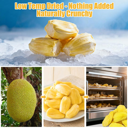 Nahasahr 10oz 100% Dried Jackfruit Chips Natural Jackfruit, No Sugar Added, Fruit-Forward Flavor, Vegan & Gluten-Free