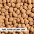 12 OZ Dark Chocolate Cocoa Dusted Almonds by It's Delish, Bulk Bag | Choc Covered Almond Candy Snack | Healthy Snacks