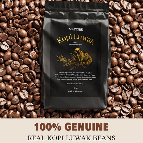 16oz 454 MATINE Wild Kopi Luwak Coffee Beans, Medium Roast, Whole Bean Coffee, Sustainably Sourced From Vietnam, /