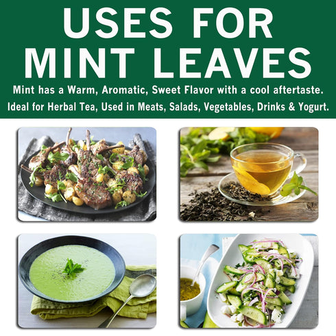 SPICES VILLAGE Dried Peppermint Leaves (2 oz) - Fresh Mint Herb, Great for Loose Leaf Tea, Dry Mint Powder