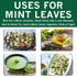 SPICES VILLAGE Dried Peppermint Leaves (2 oz) - Fresh Mint Herb, Great for Loose Leaf Tea, Dry Mint Powder
