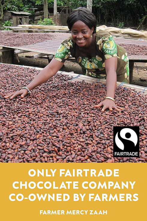 70% 3oz. (12 Pack) Divine Chocolate Bars - Dark Chocolate with Ginger & Orange - Made with Fairtrade Cocoa, Natural