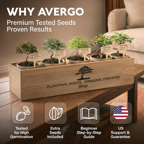 5X AVERGO Bonsai Tree Kit Classic - Unique Japanese Bonzai Trees | Complete Indoor Bonsai Starter Kits for Growing