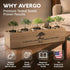 5X AVERGO Bonsai Tree Kit Classic - Unique Japanese Bonzai Trees | Complete Indoor Bonsai Starter Kits for Growing
