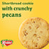 17.2 oz Keebler Sandies Shortbread Cookies, Pecan, Family Size