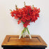 Athena's Garden 10 Athenas Garden Fresh Cut Orchids Stems Deep Red Mokara Cut Orchid Flowers