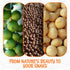 1 lb 100% Oh! Nuts Raw Macadamia Nuts - Macadamia Nuts Unsalted - Jumbo Macadamia - - Natural Snack