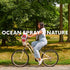 64 Oz (Pack 1) Ocean Spray Diet Cran-Mango Cranberry Mango Juice Drink, Fl Bottle