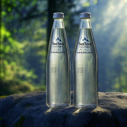 25.4 Oz (6-Pack) Sant'Anna Sparkling Natural Mineral Water, Fl | Pure French Pyrenees Mountain-Fresh Drinking Water |