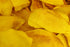 100% 23 Oz Oso Snacks Dried Organic Mango Slices. Premium Quality, Large Round Halves Only, No Sugar Added, One