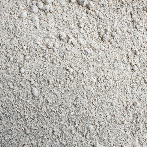 80oz One Degree Organic Foods Organic Sprouted Spelt Flour