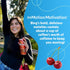 (12oz/12pk) 5 120mg BING Energizing Juice Beverage Original Cherry Made with REAL Juice! Low Calorie; B-Vitamins