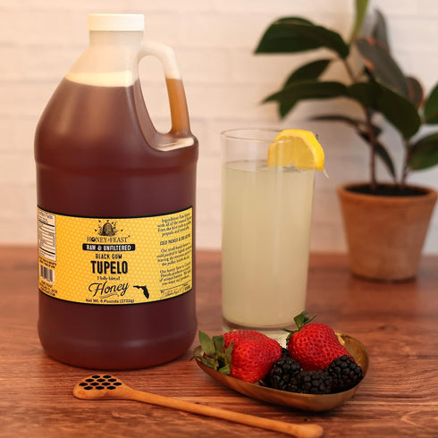 6 HONEY FEAST Pounds Black GumTupelo Honey - Authentic Raw Florida Blend, Pure American Bulk Sweetener
