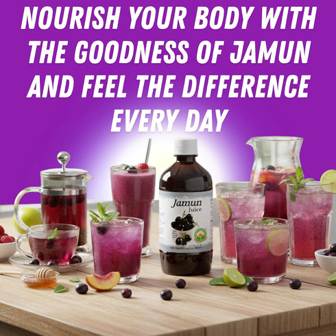 |16.23 Oz (480ml) Basic Ayurveda Jamun Juice | Fruit Juice Fl