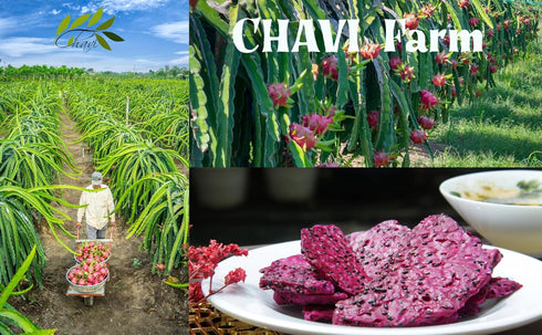 Pack 6 2 Oz 1 (Pack 6) CHAVI Dragon Fruit Chips - of x - Healthy Ingredient Superfood Snack - No Added Sugars