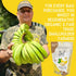 6oz Pack SOL SIMPLE Regenerative Organic Certified, Dried Banana | Snack | One Ingredient | Vegan | Non-GMO | No Added