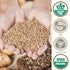 (5.8lb) Be Still Farms Organic Soft White Wheat Berries - Healthy Whole Grains Bulk - Ideal for Feeder Oats, Flour
