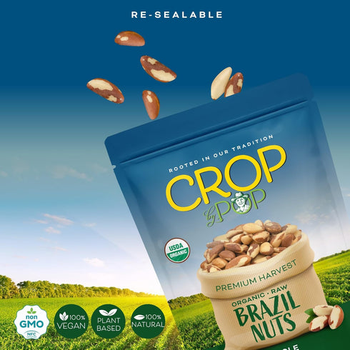 (8oz 1 Pack) Packed CROP BY POP - Organic Raw Brazil Nuts - Fresh in Resealable Bag - USDA Organic, Non GMO - Naturally