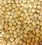 Organic Ayurvedic Herbal Indian Rennet, Paneer Doda, Withania Coagulans (200Gm / 7.05oz)