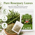 50 Count, 100% Rosemary Tea Bags - Pure Dried Rosemary Leaves, Caffeine-Free Herbal Tea, Natural & Aromatic