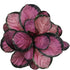 6" Pet Safe Purple Prayer Plant (Calathea Roseopicta) in Grower Pot, Pet Friendly Houseplant, Live Prayer Plants & Air