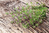 (50g) Health Embassy Thyme Herb | Thymus Serpyllum L | Herbal Tea
