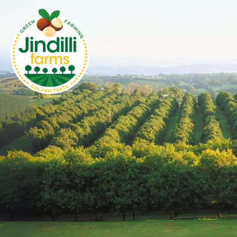 (16.9 oz) Jindilli Farms Macadamia Nut Cooking Oil- Australian Pure Cold Pressed Oil, Unrefined, Natural, High Smoke