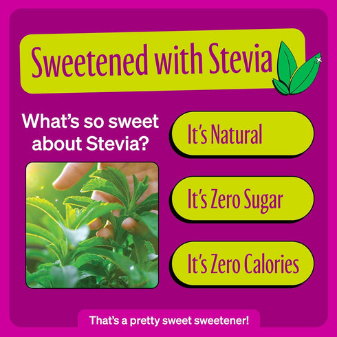 4-Flavor Pack 12 (Pack 12) Zevia Zero Calorie Energy Drink Medley Variety Ounce Cans