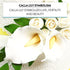 Wired,3 6 Count Global Sugar Art Calla Lily Sugar Cake Flowers White with Yellow, sizes, by Chef Alan Tetreault