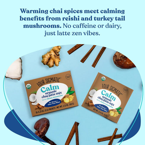 Chai Latte by Four Sigmatic, Organic Instant Chai Latte with Turkey Tail, Reishi Mushrooms & Coconut Milk Powder