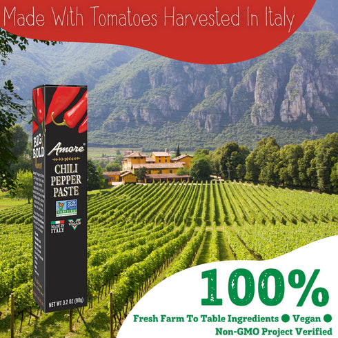 Amore Vegan Chili Pepper Paste in a Tube, Non-GMO Certified, Made in Italy (Pack of 1)