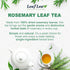 40 100% LeafLea Premium Rosemary Tea Bags from Natural Rosemary Leaves, Herbal Tea for Gentle Digestive Comfort, Te De